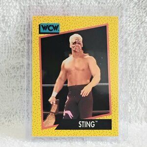 5/$20 Excellent 1991 Impel Sting WCW Wrestling Card 2!!